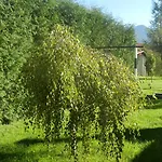 Horalka Liptovsky Mikulas