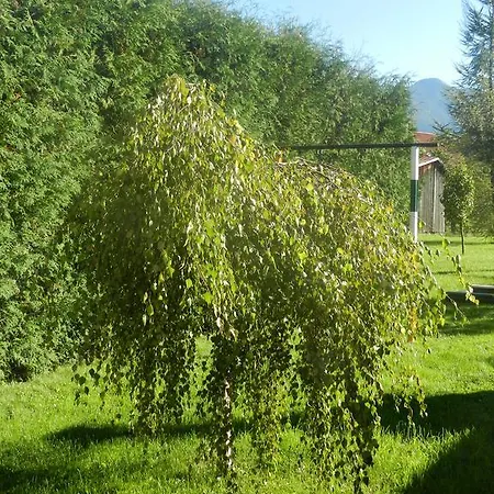 Horalka Liptovský Mikuláš