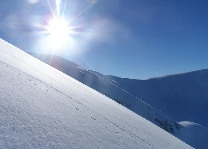 Horalka Liptovský Mikuláš